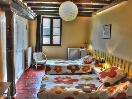 Gîte 18e avec piscine, jardin et équipements inclus, près des Châteaux de la Loire - Photo 9