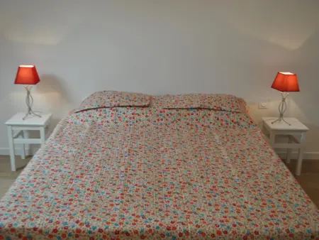 Gîte de charme avec piscine partagée près de Tours - Photo 26