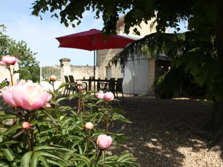Séjour Authentique au Cœur des Vignes de Chinon - Photo 4