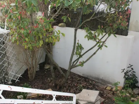 Maison raffinée au cœur de La Tranche, proche plage, parking et terrasse - Photo 5