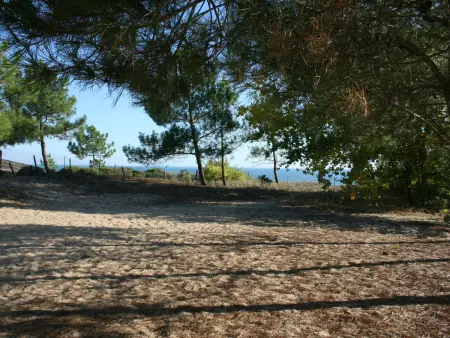 Villa spacieuse avec terrasse en bord de mer et animaux acceptés - Photo 10