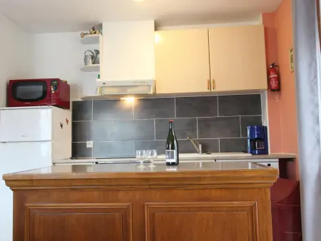 Convivialité en famille avec animaux acceptés et WiFi - Photo 3