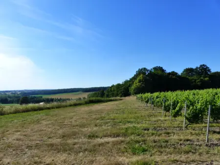 Gîte familial dans le bocage Bourbonnais avec jardin privé - Photo 22