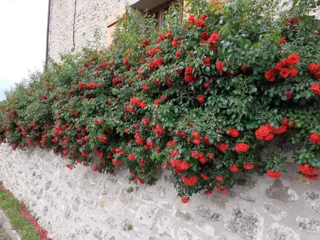 Maison de vendanges rénovée avec WIFI et animaux admis - Photo 8