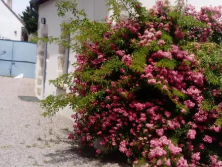 Maison de vendanges rénovée avec WIFI et animaux admis - Photo 12