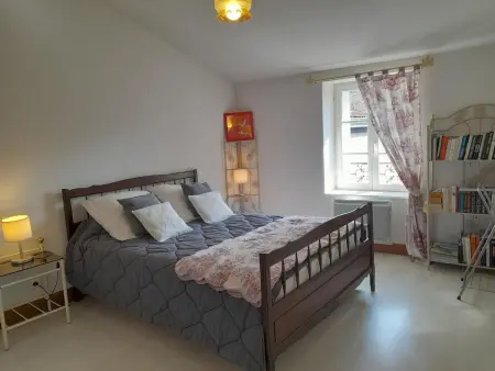 Maison en pierres rénovée avec patio à Ferrières-sur-Sichon - Photo 3