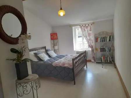 Maison en pierres rénovée avec patio à Ferrières-sur-Sichon - Photo 6