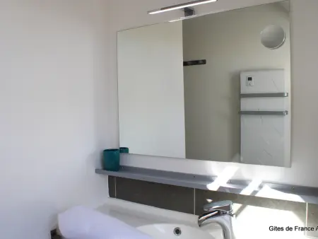 Ancienne longère rénovée avec piscine privative et animaux admis - Photo 11