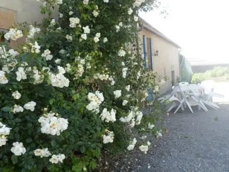 Gîte champêtre avec piscine et Wifi à Souvigny - Photo 18