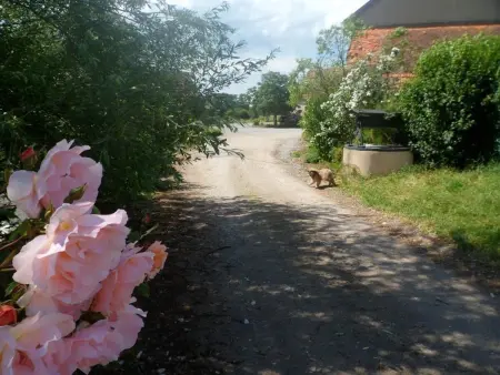 Gîte champêtre avec piscine et Wifi à Souvigny - Photo 20
