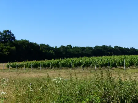 Gîtes au Clos du Paradis avec Terrasse et Jardin, Meillard - Photo 15