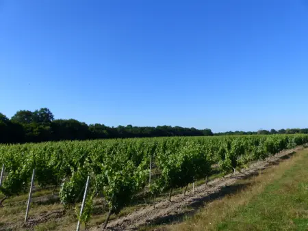 Gîte cozy avec terrasse et climatisation près de Saint Pourçain - Photo 12