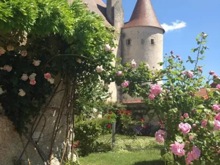 Authentique Grange du XVème siècle avec jardin et animaux admis - Photo 24