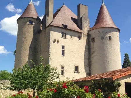 Authentique Grange du XVème siècle avec jardin et animaux admis - Photo 25