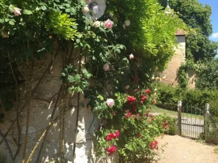 Authentique Grange du XVème siècle avec jardin et animaux admis - Photo 26