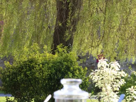 Charme Campagne: Maison Mitoyenne 2 Ch, Terrasse - Photo 19