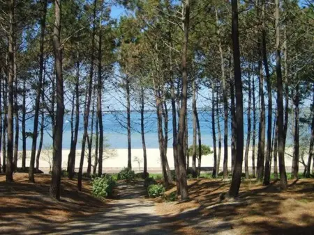 Villa moderne 4 chambres, piscine chauffée, Wi-Fi, proche plage et commerces, Arcachon - Photo 22