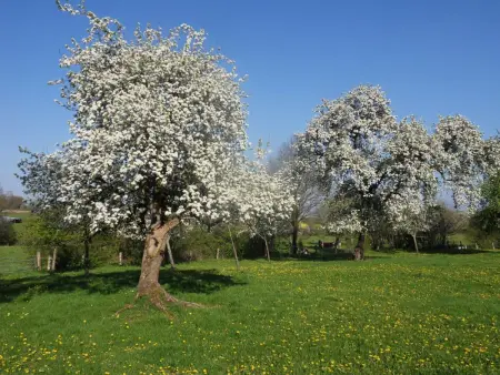 Charmante maison écologique avec jardin clos, Gite 5 personnes à La Baroche sous Lucé - Photo 11