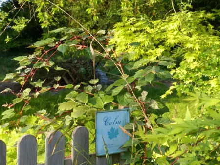La Bergerie: Maison ancienne avec jardin anglais, 2 chambres - Photo 23