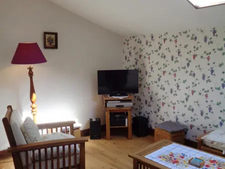 Gîte familial à Saint-Haon-le-Châtel avec piscine et animaux admis - Photo 5