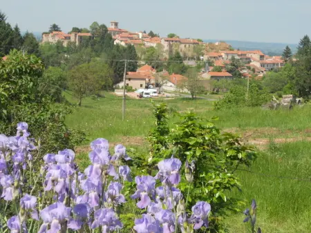 Gîte familial à Saint-Haon-le-Châtel avec piscine et animaux admis - Photo 19