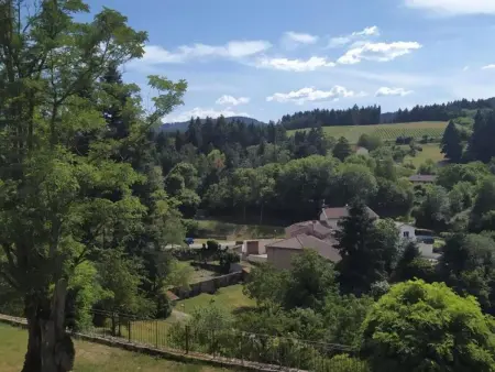 Gîte familial à Saint-Haon-le-Châtel avec piscine et animaux admis - Photo 22