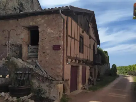 Gîte familial à Saint-Haon-le-Châtel avec piscine et animaux admis - Photo 24