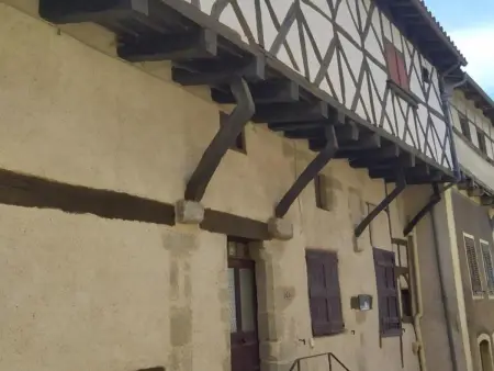 Gîte familial à Saint-Haon-le-Châtel avec piscine et animaux admis - Photo 30