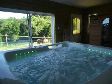 Gîte chaleureux avec spa et sauna, animaux admis - Photo 9