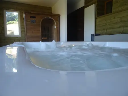 Gîte chaleureux avec spa et sauna, animaux admis - Photo 11