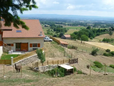 Gîte chaleureux avec spa et sauna, animaux admis - Photo 13