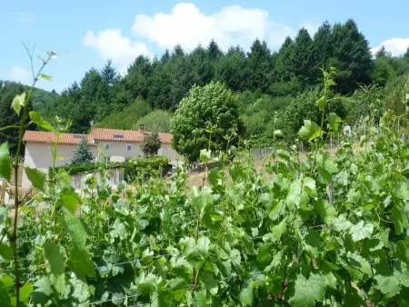 Gîte chaleureux avec spa et sauna, animaux admis - Photo 16
