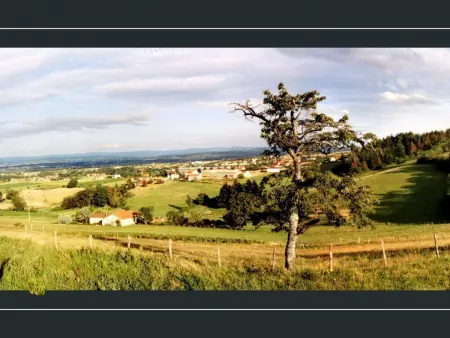 Gîte chaleureux avec spa et sauna, animaux admis - Photo 17