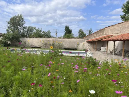 Gîte de charme avec piscine, Wi-Fi et animaux acceptés - Photo 4