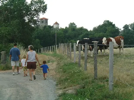Gîte de charme avec piscine, Wi-Fi et animaux acceptés - Photo 21