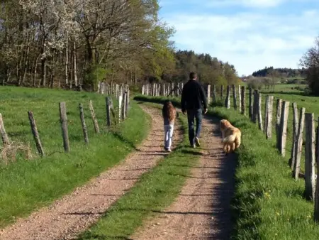 Gîte harmonieux 8 pers avec cheminée et animaux admis - Photo 32