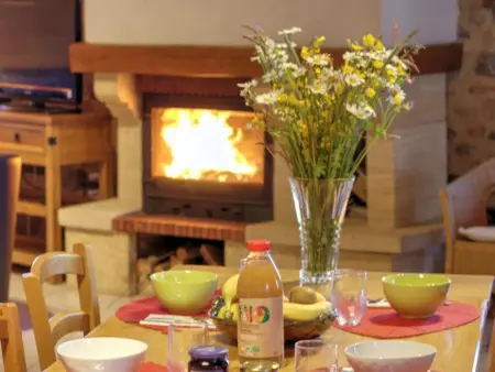 Gîte spacieux au cœur de la nature avec cheminée et activités extérieures - Photo 9