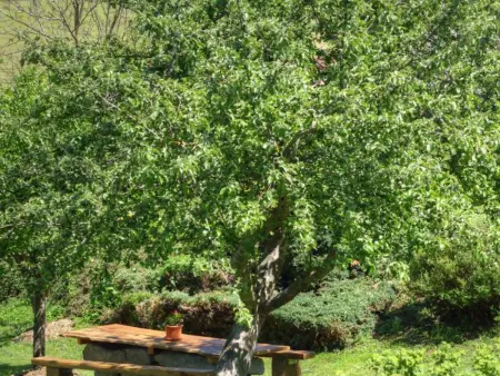 Gîte spacieux au cœur de la nature avec cheminée et activités extérieures - Photo 24