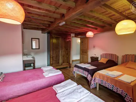 Gîte La Liesse avec 4 chambres, cheminée, jardin et animaux acceptés - Photo 13