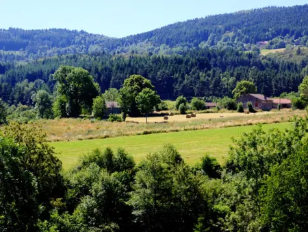 Gîte La Liesse avec 4 chambres, cheminée, jardin et animaux acceptés - Photo 26
