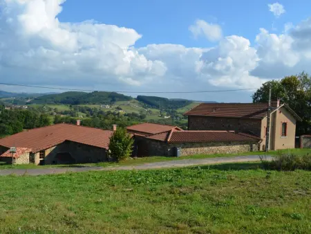Gîte spacieux en campagne avec jacuzzi, sauna et jeux extérieurs - Photo 31