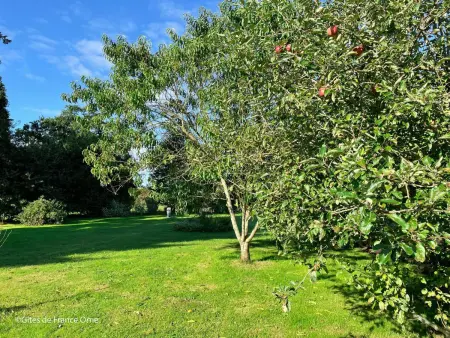 Maison individuelle avec spa et jardin, près de Domfront - Photo 15