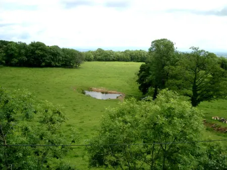Gîte isolé et paisible aux Monts de la Madeleine avec animaux admis - Photo 19