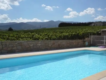 Gîte Studio avec Terrasse Privée au Cœur du Vignoble - Photo 12