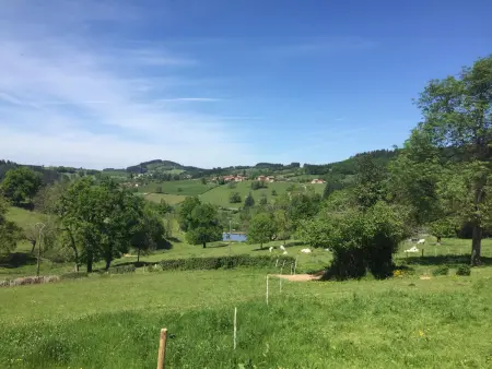 Gîte en pierres avec piscine partagée, Gite 5 personnes à Belmont de la Loire - Photo 26