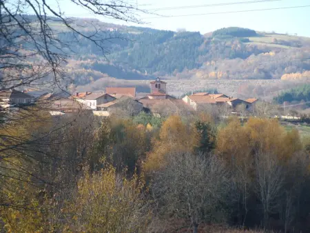 Gîte spacieux avec piscine privée et animaux admis à Saint-Priest-la-Prugne - Photo 20