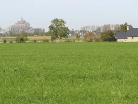 Charmante maison près du Mont St-Michel avec Wi-Fi et animaux acceptés - Photo 17
