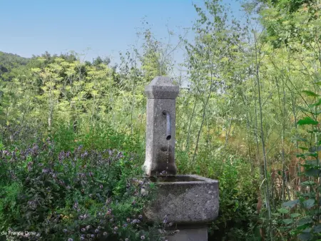Maison indépendante avec spa nordique, piscine partagée et jardin - Photo 33