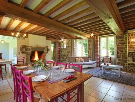 Maison spacieuse, animaux admis - 10 pers., Gite 10 personnes à La Sauvagère - Photo 1