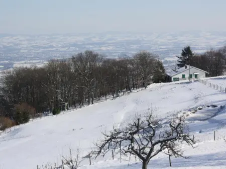 Gîte chalet autrichien avec cheminée et animaux acceptés - Photo 21